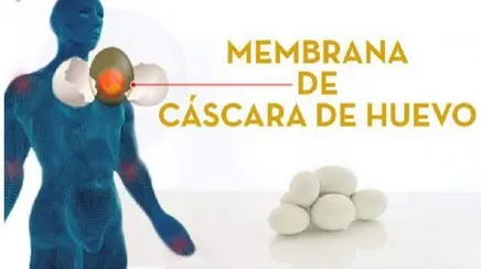 membrana_de_cascara_de_huevo_sistema_colageno_hidrolizado